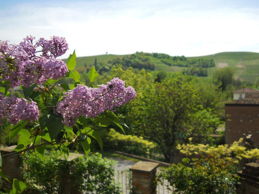 Tenuta Calabiana Diano dʼAlba Camera foto