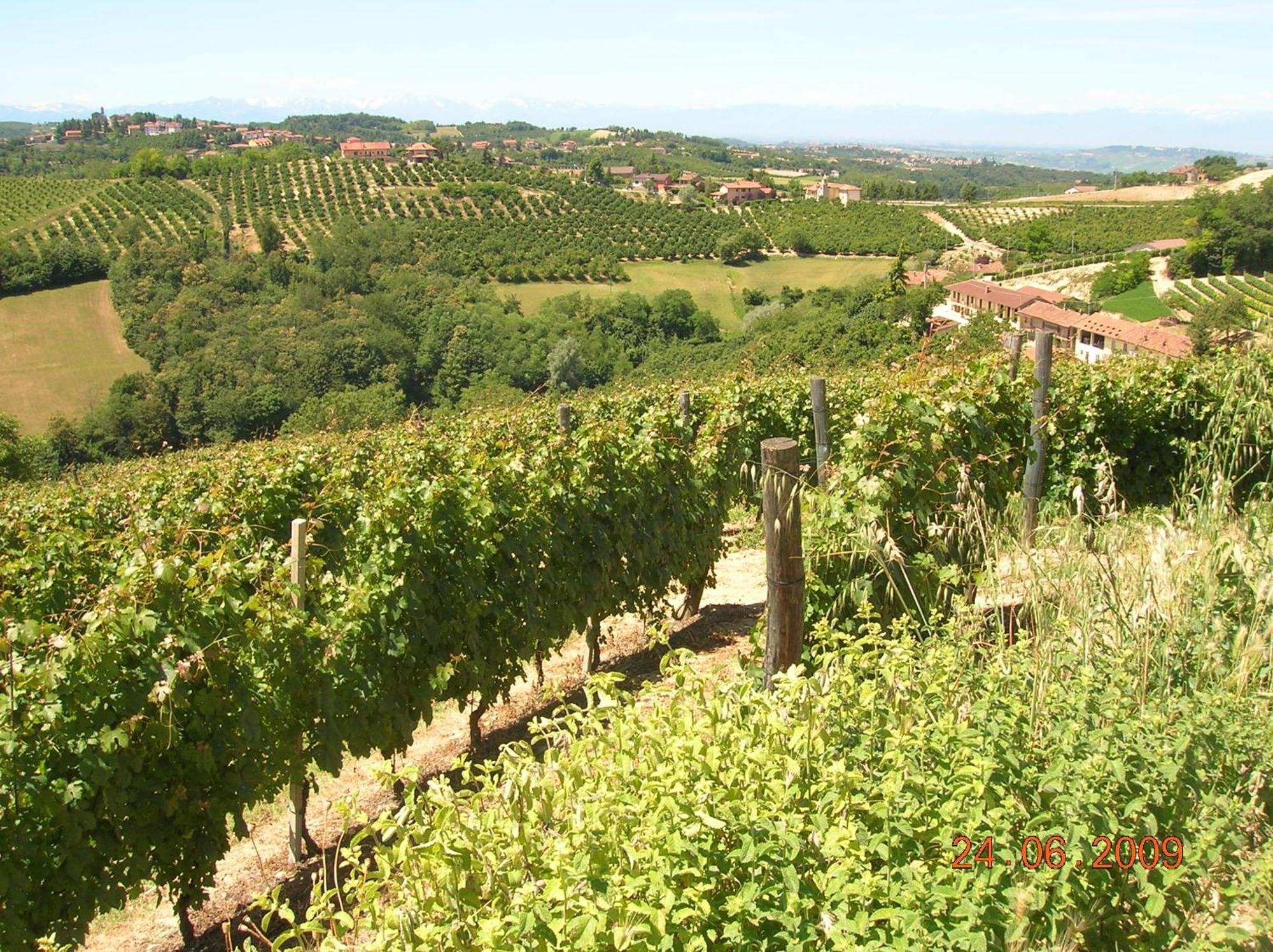 Tenuta Calabiana Diano dʼAlba Esterno foto